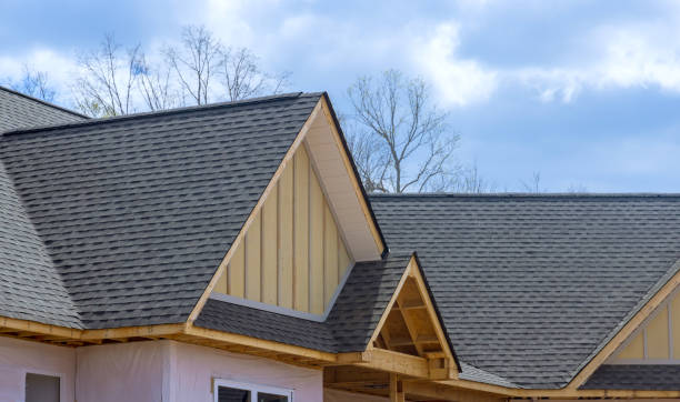 Best Rubber Roofing (EPDM, TPO)  in Palm Springs North, FL