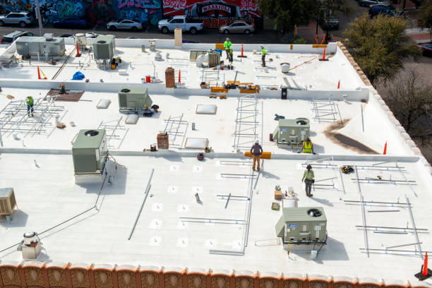 Best Steel Roofing  in Palm Springs North, FL
