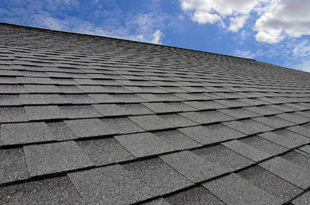Best Hot Roofs  in Palm Springs North, FL